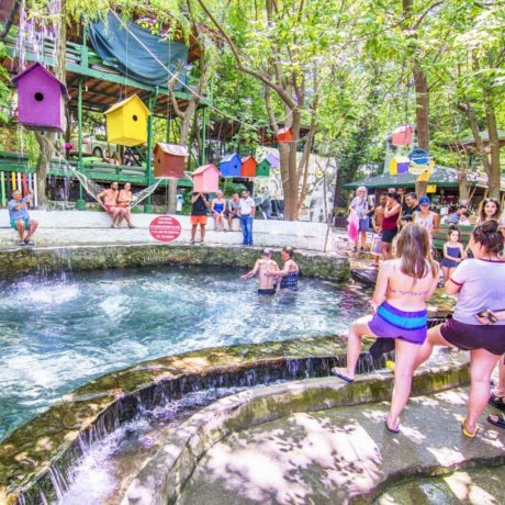 Yavru Cennet Yakapark